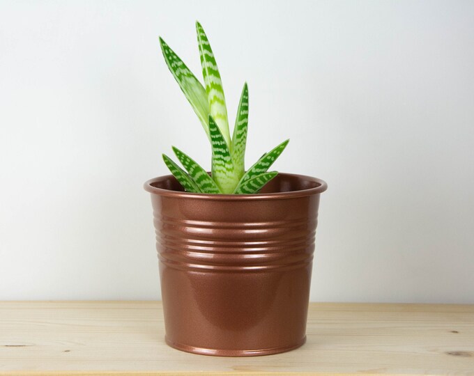 Plant Pot - Metal Plant Pot - Copper Color - Plant Holder - Home Decor - Metal Planter - Metal Bucket