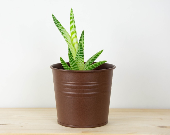 Plant Pot - Metal Plant Pot - Rust Effect Color - Plant Holder - Home Decor - Metal Planter - Metal Bucket