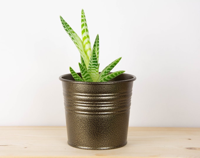 Metal Plant Pot - Antique Brass Color - Metal Planter - Succulent Planter - Home Decor - Plant Holder - Metal Bucket