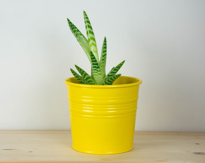 Plant Pot - Metal Plant Pot - Yellow Gloss Color - Plant Holder - Home Decor - Metal Planter - Metal Bucket