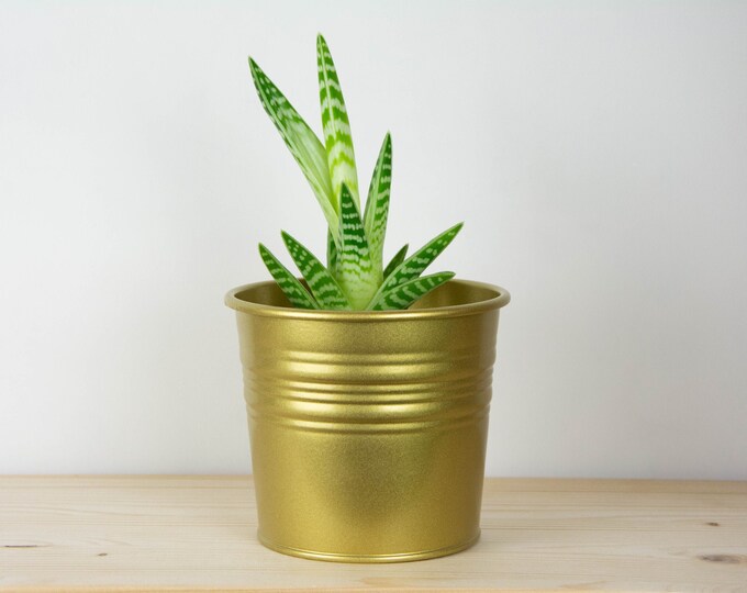 Metal Plant Pot - Gold/Brass Color - Metal Planter - Succulent Planter - Home Decor - Plant Holder - Metal Bucket