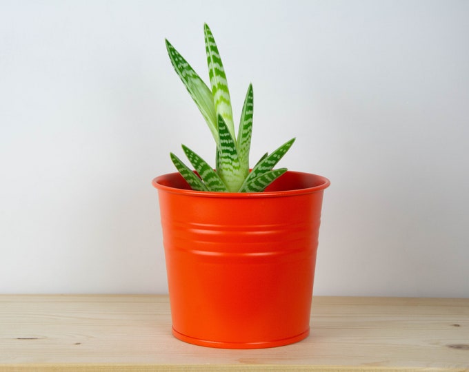 Plant Pot - Metal Plant Pot - Orange Matte Color - Plant Holder - Home Decor - Metal Planter - Metal Bucket