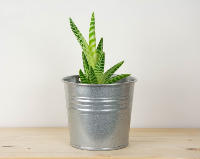 Metal Plant Pot - Silver Metallic Color - Metal Planter - Succulent Planter - Home Decor - Plant Holder - Metal Bucket