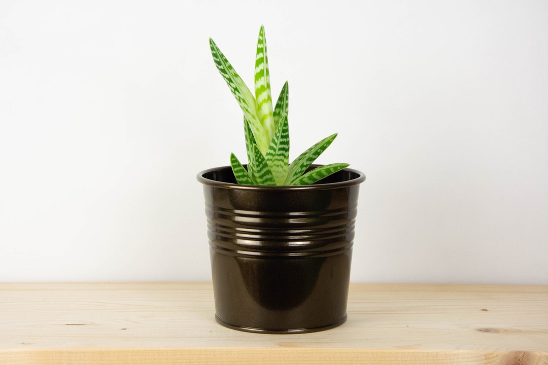 Plant Pot - Metal Plant Pot - Oil Rubbed Bronze Color - Plant Holder ...