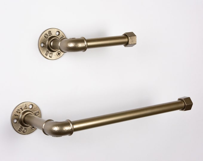 Toilet Paper Holder, Paper Towel Holder, Towel Rack, Industrial Bathroom, Rustic Home Decor, Color Pictured Platinum