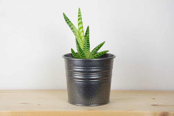Plant Pot - Metal Planter - Antique Silver Color- Succulent Planter - Home  Decor - Metal Plant Holder - Metal Bucket - Powder Coated - Etsy