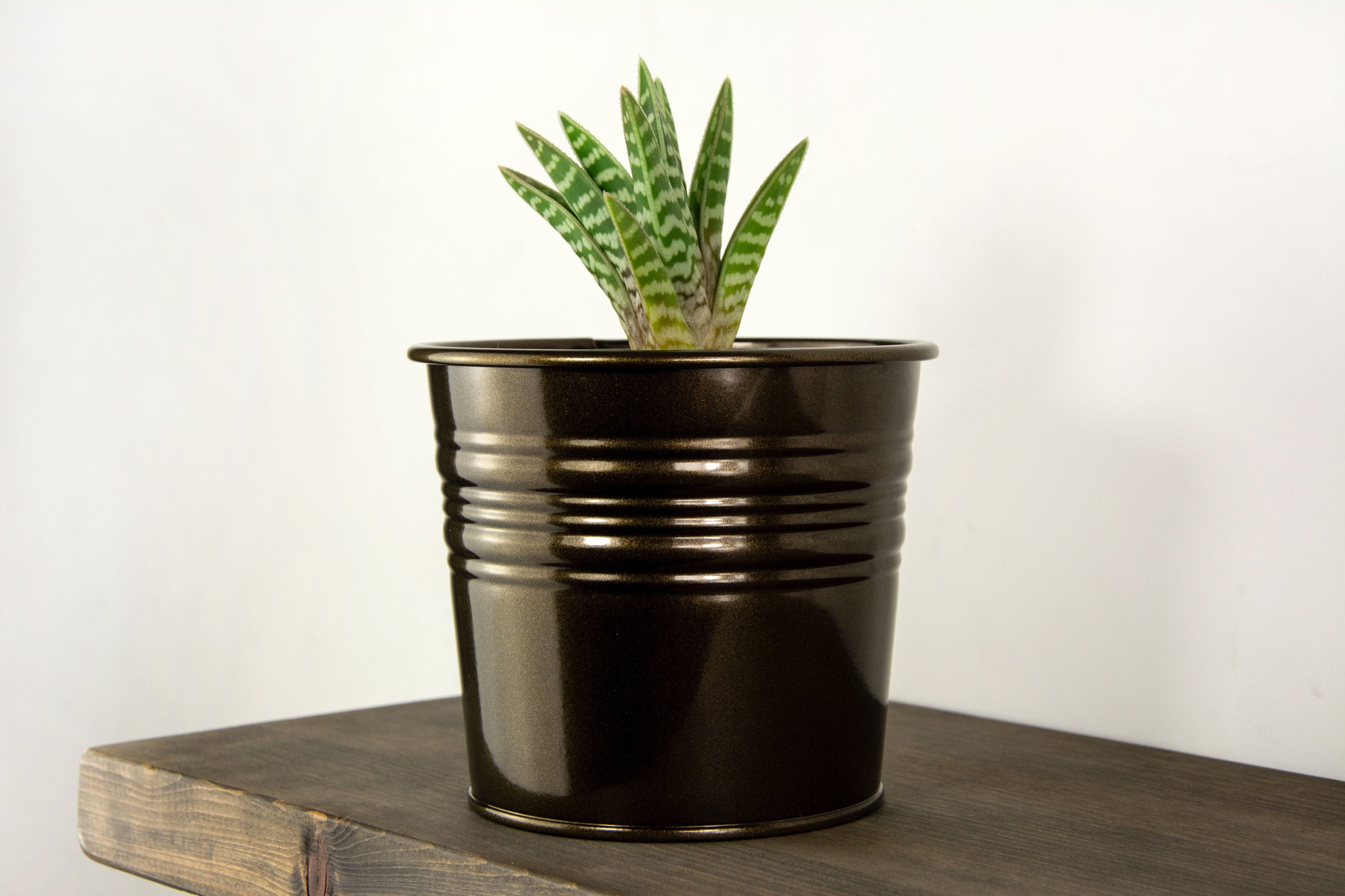 Plant Pot Metal Plant Pot Oil Rubbed Bronze Color Plant Etsy