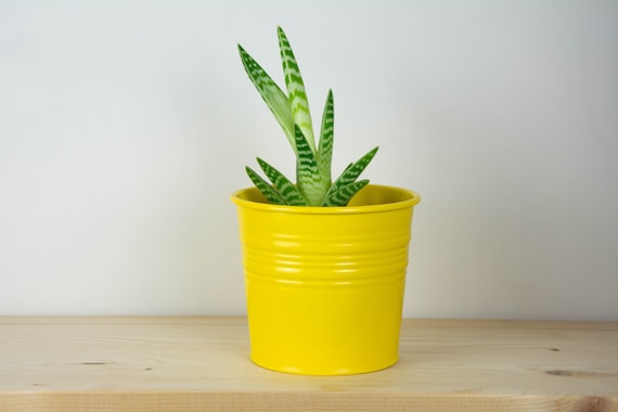 植木鉢 - 金属製植木鉢 - 黄色の光沢色 - 植物ホルダー - ホーム 