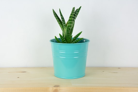 Pot light sale holder