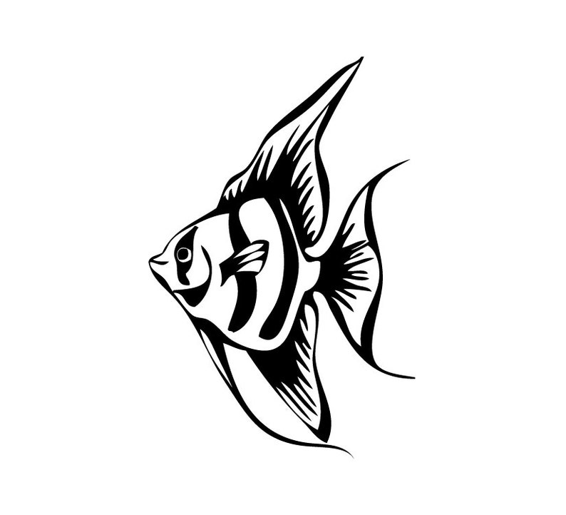 Angelfish Laptop / Wall Vinyl Decal Shadow Box Decal Etsy
