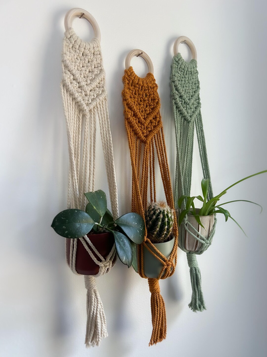Colorful Macrame Plant Hanger: Handmade Cotton Wall Decor - Etsy