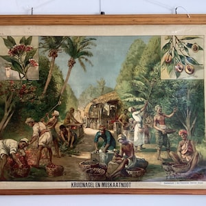 Gráfico escolar desplegable vintage de clavo y nuez moscada