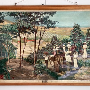 Carte scolaire déroulante vintage de café