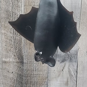 Gourd bat