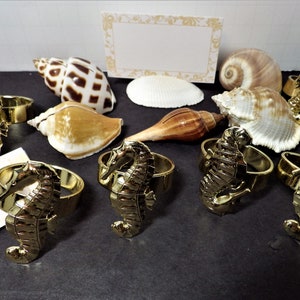 6 Seashell Place Card Holder/ 6 Seahorse Napkin Rings/ 8 Place Cards/ Beach Theme Party
