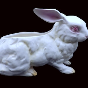Może przedstawiać: Biała ceramiczna donica w kształcie królika z różowymi uszami i różowymi oczami. Królik siedzi z wydrążonym tyłem do sadzenia kwiatów lub sukulentów. Donica ma teksturowaną powierzchnię na czarnym tle.
