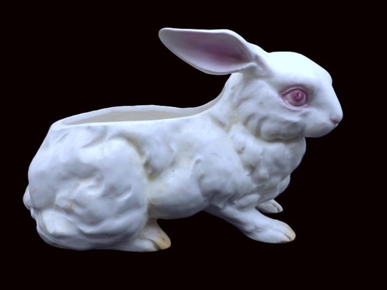 May include: A white ceramic rabbit planter with pink-lined ears and pink eyes. The bunny is in a seated position with a hollowed-out back for planting flowers or succulents. The planter has a textured surface and is set against a black background.