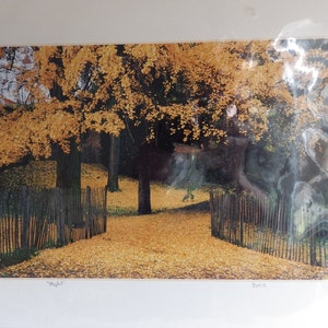 1990s Claude Taylor Color Photograph Print &quot;PARIS&quot; 11 X 17 Autumn Leaves Trees