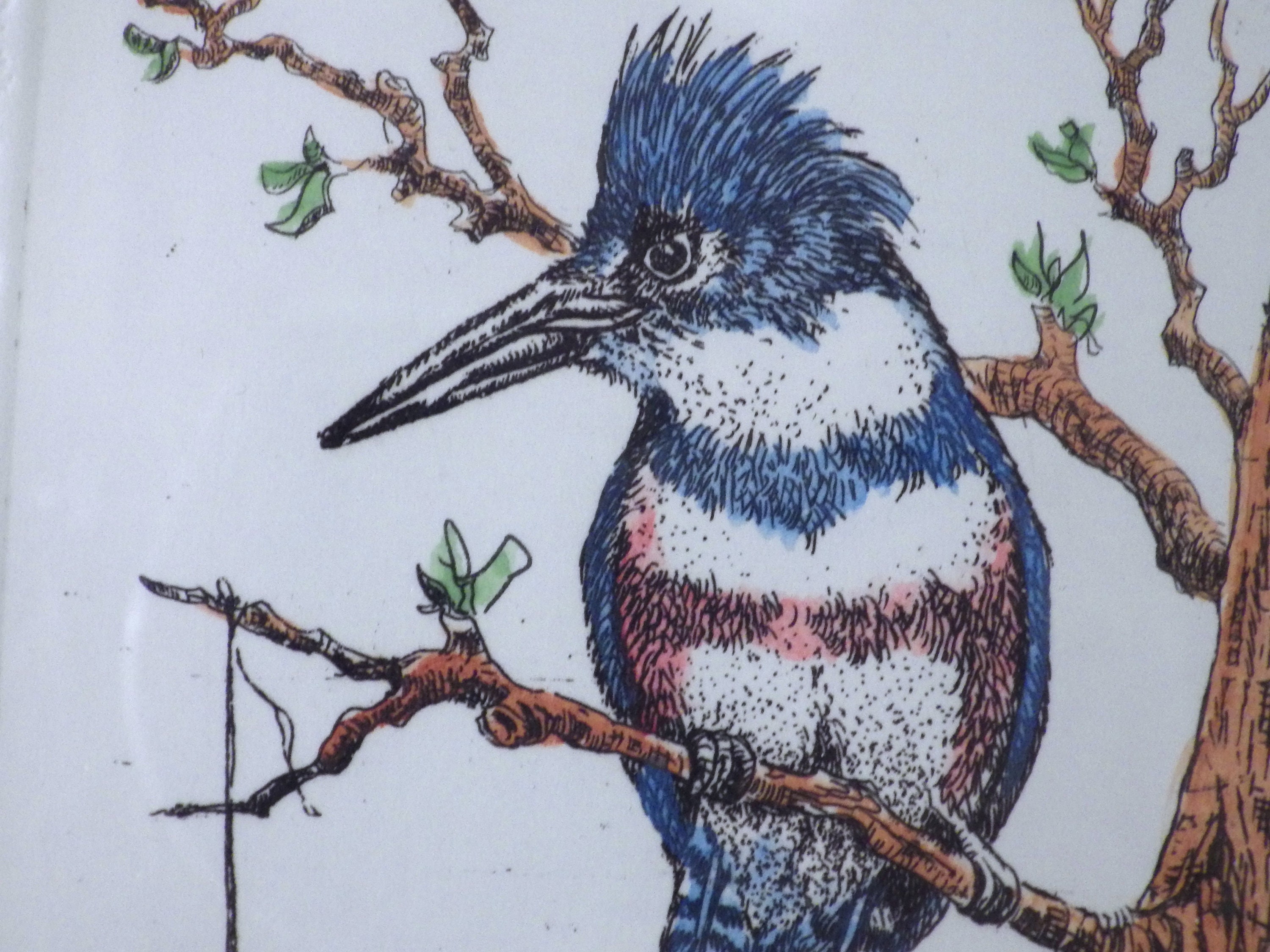 Jo Ann George Print/ 