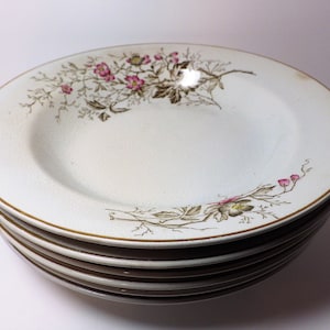 Jahrgang Alfred Meakin (6) Rimmed Suppe Schalen rosa grüne Blumen Blätter