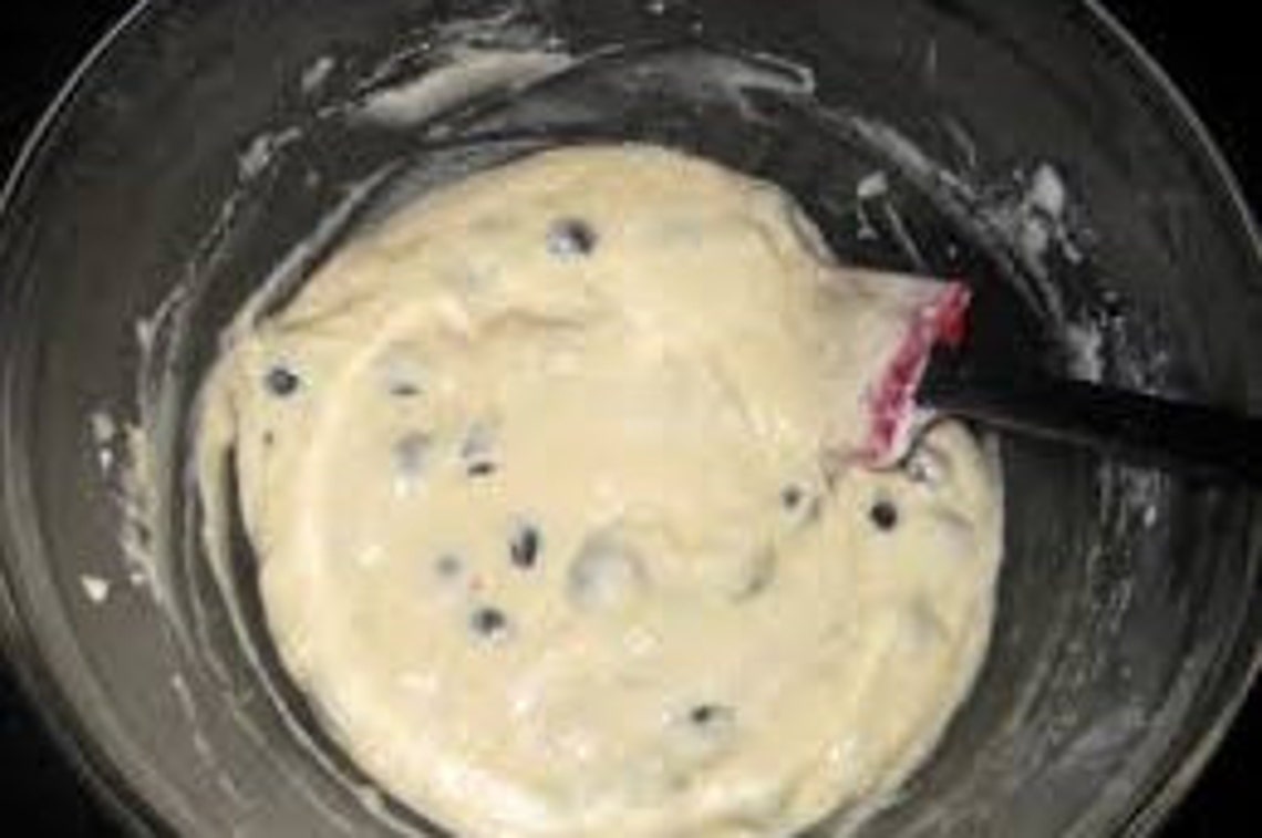 Blueberry Pancake and Waffle Mix Easy to Make Homemade Etsy