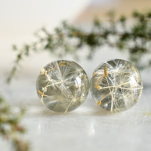 Make a Wish Stud Earrings Dandelion Resin Jewelry Dandelion Spheres Earrings image 1