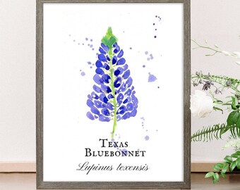 Texas Bluebonnet Home Decor Art -  Hill Country TX hand painted wall art - Mothers Day Gift  - Wildflowers poster