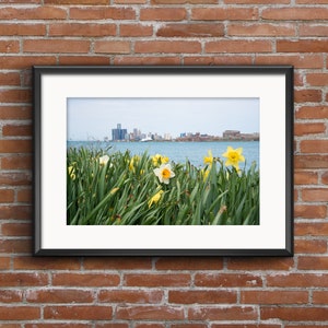 Detroit Skyline Art Print: Belle Isle Daffodils, Spring Flowers