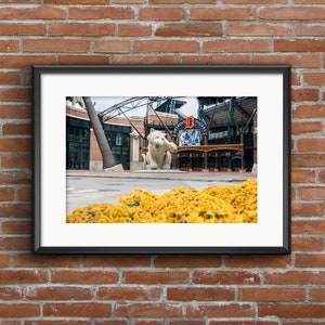 Comerica Park Tiger Through Fall Flowers In Detroit Art Print - Detroit Michigan Detroit Tigers Baseball Monument Print