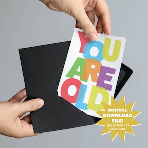 You Are Old Druckbare Geburtstagskarte - 13x18 Regenbogen Mean and Rude Print und Klappkarte