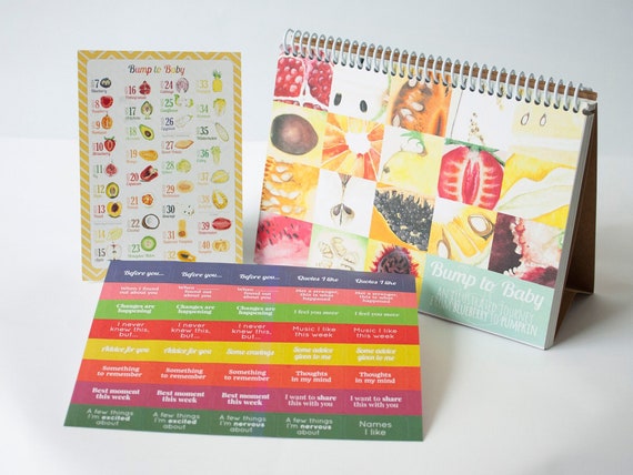 pregnancy journal pregnancy calendar baby book pregnancy book bump to baby the pregnancy calendar