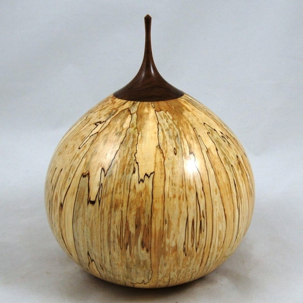 Hand turned wooden hollow form/burial urn made of Spalted Birch with a Walnut lid