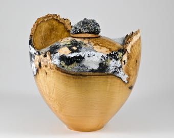 Handmade Black Locust Burl Urn: Minerals and Gold Inlay, Pyrite lid (240 c.i.)