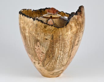 Handmade Maple Burl Wood Urn, Vanadinite lid (220 c.i)