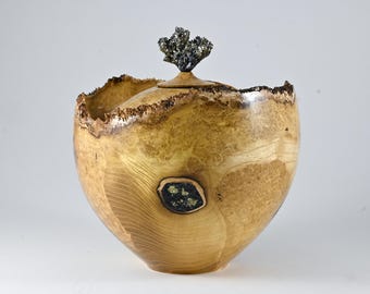XL Handmade Black Locust Burl Urn: Pyrite lid, Black Minerals & Gold Inlay (330 c.i.)