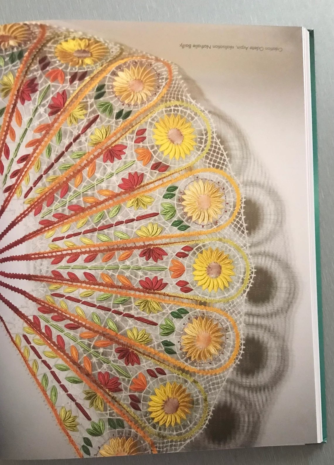 洋書 Cluny de Brioude dentelle polychrome Amazon.com: Pochettes en Cluny polychrome de Brioude