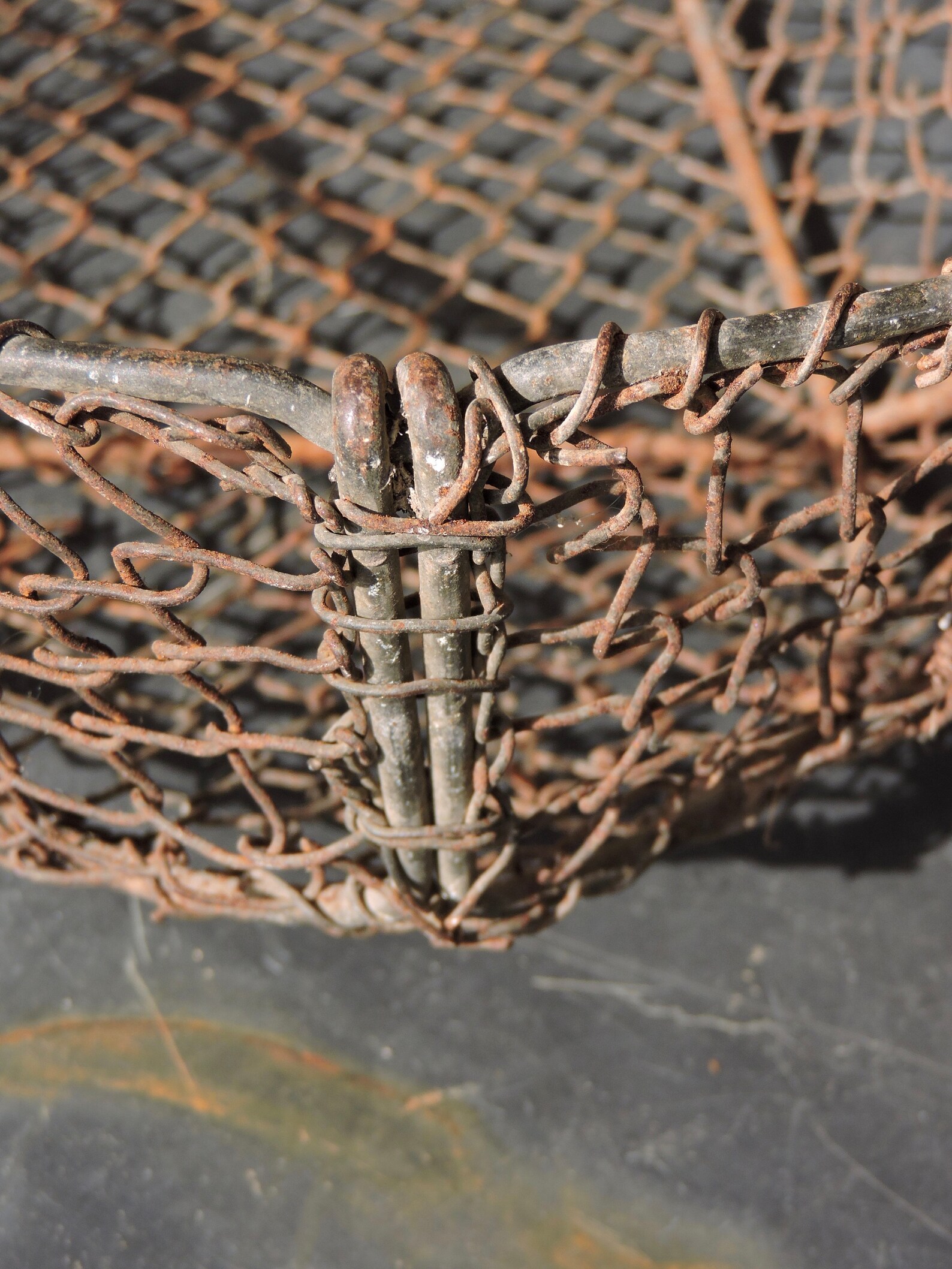 Vintage Oyster BasketFrench Seafood Collecting BasketKitchen Etsy