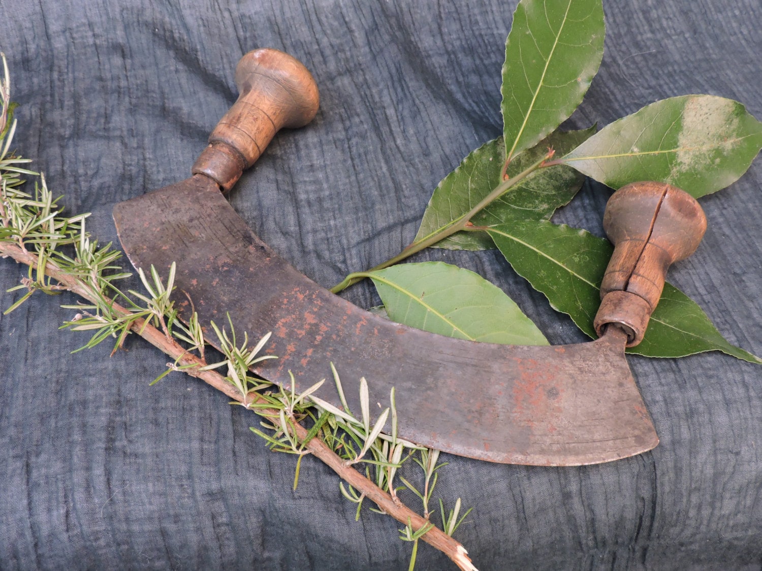 Hachoir à Herbes Vintage - Coupe-Légumes Français Années 1920 Hachoir Trancheuse d'herbes Bascule De