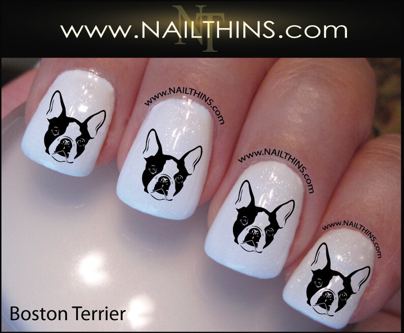 boston terrier nail art