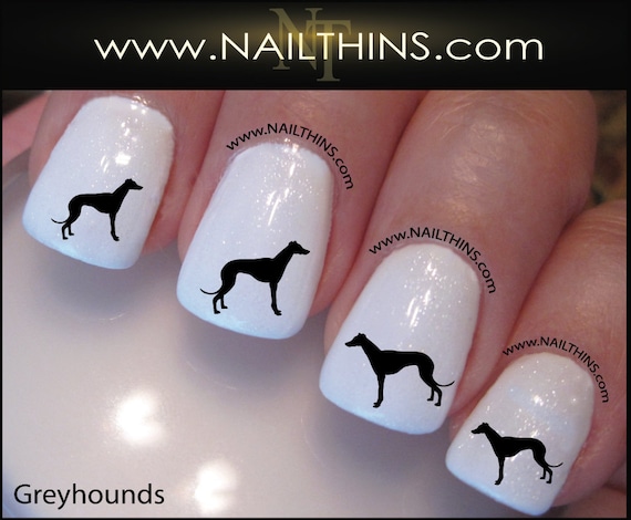 greyhound nails