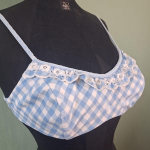 May include: A light blue and white gingham pattern bralette with delicate white lace trim along the top edge. The bralette has thin, adjustable straps and is displayed on a black mannequin. The overall style is vintage and feminine.