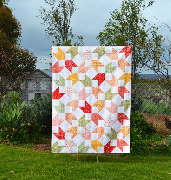 Backyard Chicks Pattern Backyard Chicks Pattern