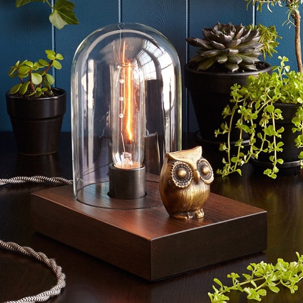Owl Edison Lamp // Touch Controlled