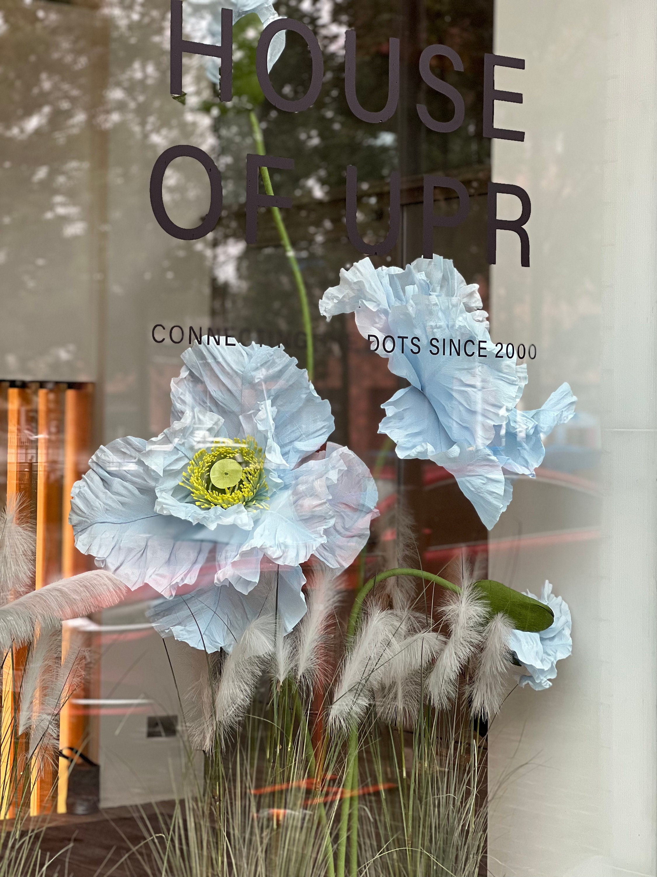 Idée décoration pour vitrine: autocollant fleurs de coquelicots géants