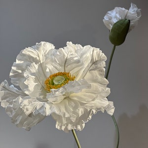 Testa di fiore di papavero di carta bianco - Fiore gigante per riprese