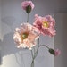 see more listings in the Fleurs en papier DEBOUT section