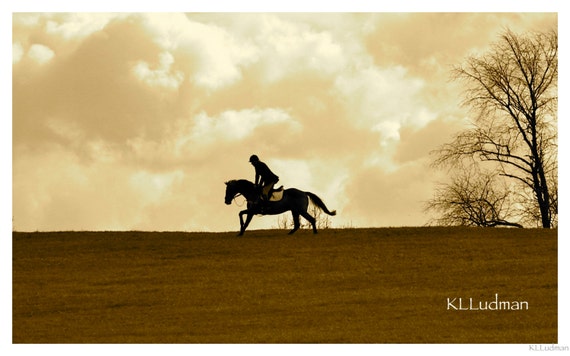 Chasing the Hounds