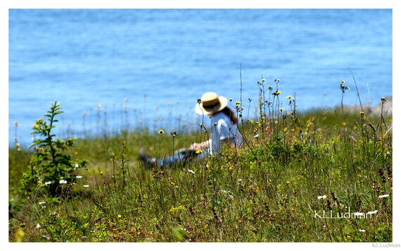 Monhegan Island Artist