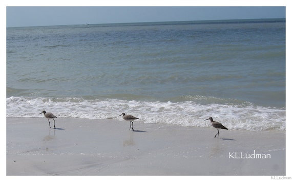 Strolling the Beach