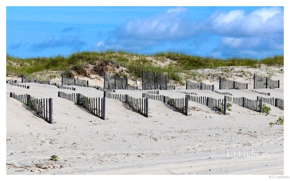 Dune Fences